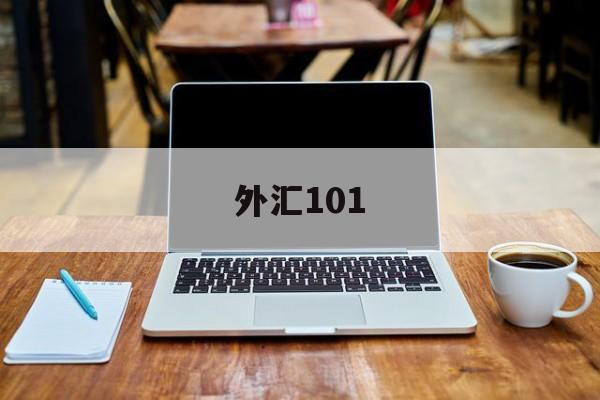 外汇101(外汇110官网)